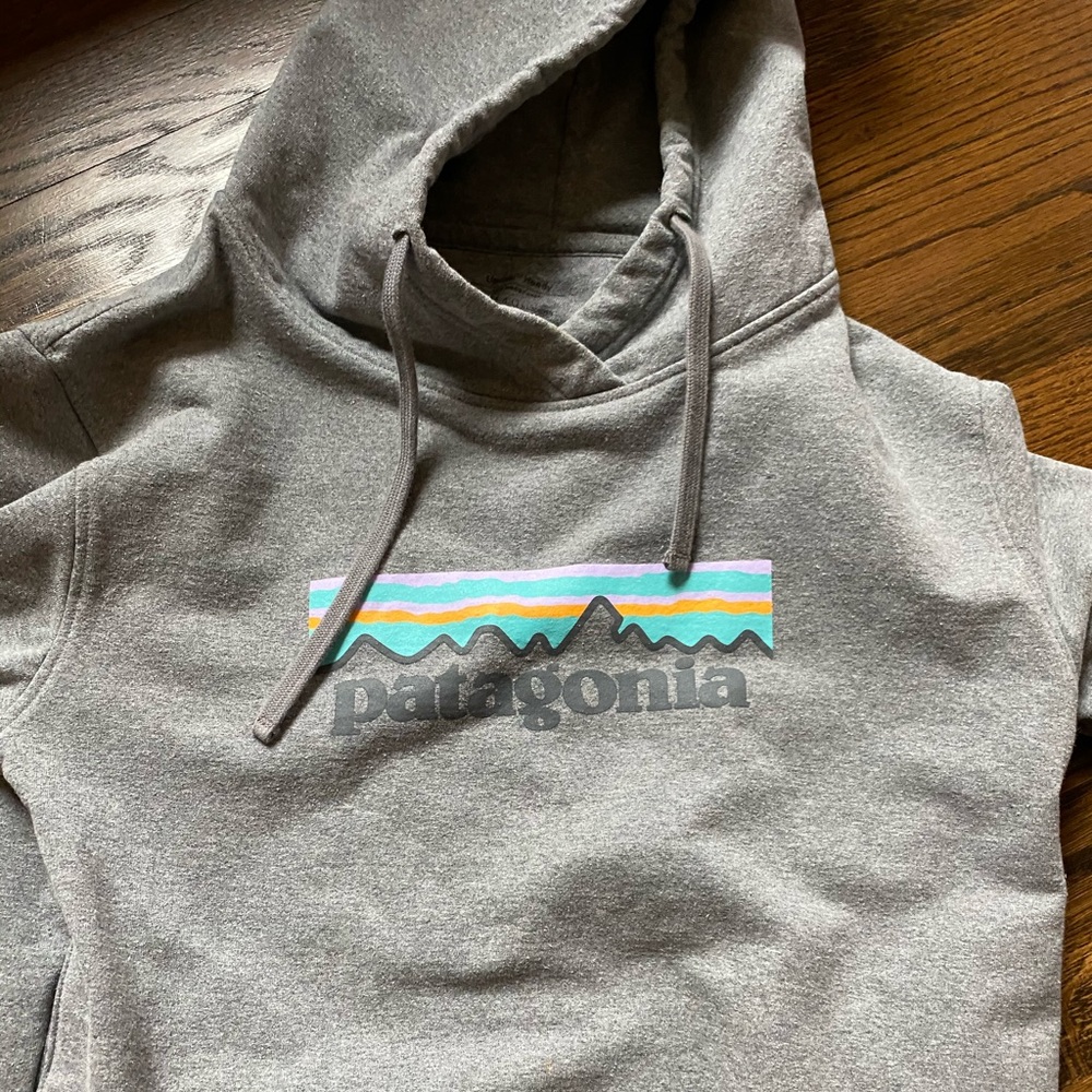 Patagonia cropped sweatshirt